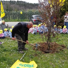 Coldiretti Pistoia ha piantato nel cortile scolastico un nuovo albero della famiglia dei prunus   Ciampoli: un segnale per evidenziare il calo degli alberi da frutto in tutta Italia