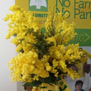 DOPPIO APPUNTAMENTO PER L'8 MARZO  COLDIRETTI PORTA LE MIMOSE ALLE CUOCHE DI LARCIANO E ALLE SCOLARE   IN VISITA NELL'AZIENDA AGRICOLA