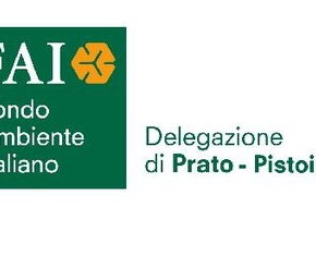 Sabato 10 giugno Giornate FAI di primavera - Museo della Carta, Pietrabuona