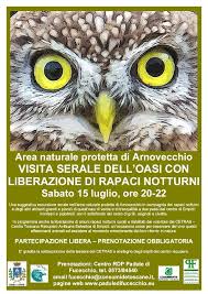 Sabato 22 luglio ARNOVECCHIO: VISITA SERALE CON LIBERAZIONE DI RAPACI NOTTURNI