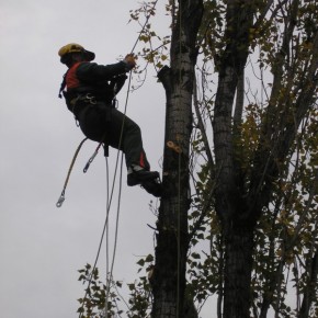 PONTE BUGGIANESE: PARTONO I LAVORI PER DERAMIFICAZIONE E TAGLIO PIANTE NEI PRESSI DEGLI IMPIANTI ELETTRICI