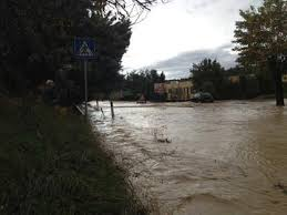 ALLUVIONE. COLDIRETTI PISTOIA VICINA AGLI AGRICOLTORI LIVORNESI E PISANI