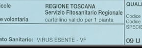 CORIPRO-OLIVI DI PESCIA 100.0 Oltre 100 varietà di olivo certificato