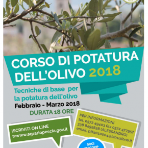 Corso potatura Olivo Istituto Agrario