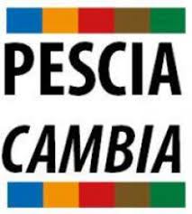 Pescia Cambia  “ Abbiamo fiducia in Giurlani e nella magistratura.  Che tristezza la doppia morale di Franceschi e della Lega”