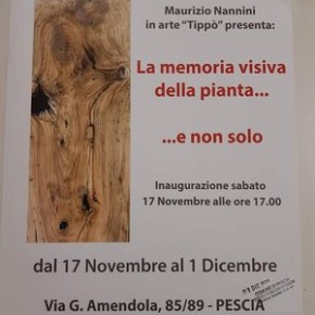 Pescia sabato 17 novembre  Bottega d'arte Savadori. Mostra ''La memoria visiva della pianta...e non solo''.