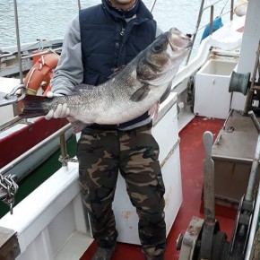 IL PESCE DEL TIRRENO ARRIVA IN PIAZZA A QUARRATA