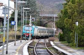 Il consiglio comunale di Pescia vuole il raddoppio della ferrovia  La mozione di Pescia Cambia diventa ordine del giorno che tutti votano