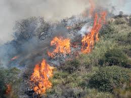 Giurlani chiede alla Prefettura un incontro dopo gli incendi di Stiappa e Pontito “Preoccupati e indignati dalla loro probabile origine dolosa “