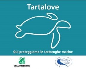 ALL’ISOLA D’ELBA È TEMPO DI TARTALOVE Il Parco Nazionale dell’Arcipelago Toscano e Legambiente hanno coinvolto tutti gli abitanti dell’isola per il riconoscimento delle tracce dei nidi e la difesa di questo affascinante abitante dei mari dell’Elba.