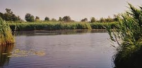 Padule di Fucecchio e Lago di Sibolla, mozione Marchetti (FI) «Coinvolgere nella gestione organizzazioni ambientaliste e valorizzare esperienza del Centro di Ricerca»