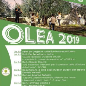 Pescia sabato 23 novembre Istituto Tecnico Agrario "D. Anzilotti". ''Olea'' 2019.