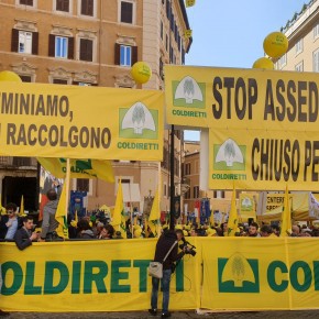 Coldiretti Pistoia ''Cinghiali. Dal Chianti a Pistoia è emergenza. E domenica autostrata chiusa''.