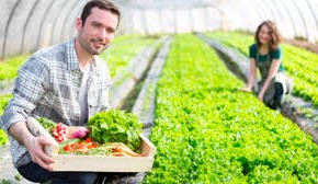 LAVORO: COLDIRETTI, BUROCRAZIA SPEGNE SOGNI DI 1 GIOVANE SU 2  Perso mezzo miliardo all’anno di valore aggiunto nei campi     E anche la Toscana non brilla: bocciate il 63% delle domande presentate