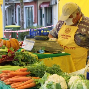 CAMPAGNA AMICA. Tanto pesce del Tirreno ai mercati pistoiesi     Martedì a Pescia debuttano le ‘cozze toscane’  e domani ancora ‘spesa sospesa’ a Pistoia per aiutare chi è in difficoltà