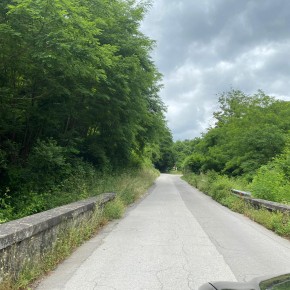 A breve partirà il taglio della vegetazione in montagna a Pescia     Bellandi “ Affidati i lavori, appena il meteo lo permette, cominciamo”