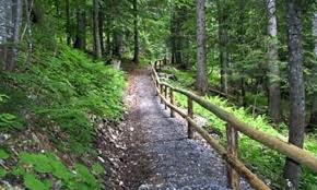 Riparte il turismo sostenibile a Pescia grazie al Club Alpino Italiano   Un nuovo sentiero a Croce a Veglia con Giurlani e Bellandi