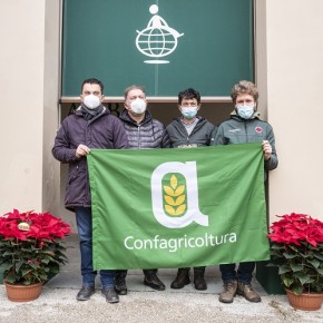 Azienda floricola di Confagricoltura Pistoia dona stelle di Natale a Dynamo