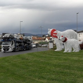 Addobbi per le feste di Natale a Pistoia  La rotonda della Vergine rallegrata da tre orsi giganti luminosi