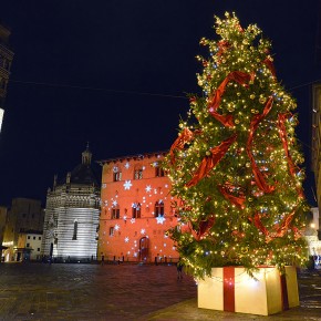 Otto installazioni-regalo di abeti in otto luoghi della città  Il “Natale vivo” dell’Associazione vivaisti italiani a Pistoia