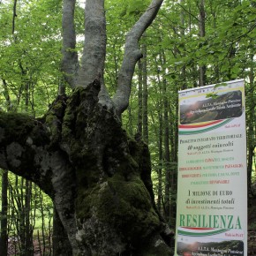 Made in P(i)T. BIODIVERSITÀ, BENESSERE E QUALITÀ DELLA VITA IN MONTAGNA  Due seminari online per il Progetto integrato territoriale