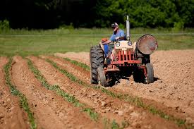 Agevolazioni fiscali, filiere e giovani: nella legge di Bilancio 2021 un miliardo per l’agricoltura L’informazione ai soci grazie a ‘Coldiretti Pistoia INFORMA’ e ‘Il PUNTO Coldiretti’