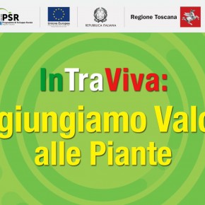 In.Tra.Viva. LOGISTICA INNOVATIVA PER AGGIUNGERE VALORE ALLE PIANTE  Corso gratuito per tutte le aziende vivaistiche della Toscana     Primo appuntamento ONLINE IL 23 FEBBRAIO