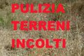 Comune di Pescia. Manutenzione dei terreni incolti posti sul territorio comunale