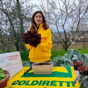 FESTA DI PRIMAVERA. CON LA PANDEMIA E’ SEMPRE FEBBRE DELL’ORTO… IN TERRAZZO     Al mercato Campagna Amica di Pistoia il 20 marzo le piantine  e i consigli dei produttori agricoli per ottenere insalate, pomodori a ‘metro 0’