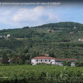 AGRICOLTURA A PISTOIA. Il settore primario protagonista del video di Coldiretti