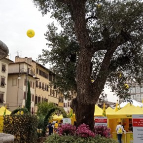 Al via G20: in piazza l’agricoltura che verrà  Studenti di Casalguidi visitano Piazza Santa Croce trasformata in una maxi fattoria del futuro  E all’ingresso una quercia ultrasecolare ‘Made in Pistoia’