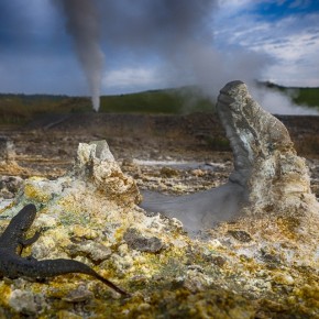 ENEL LEADER NELLA LOTTA AL CAMBIAMENTO CLIMATICO SECONDO CDP