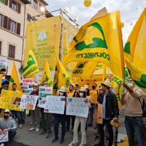 BOLLETTE: STOP ALLE SPECULAZIONI. ALLEVATORI E AGRICOLTORI IN PIAZZA Giovedì anche le imprese agricole pistoiesi a Firenze