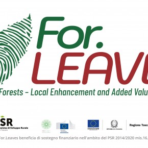 Venerdì 25 marzo ore 21.25  ForLEAVEs si presenta ad Ora Verde di TVL  Il progetto che punta alla valorizzazione delle foreste pistoiesi  protagonista nella storica trasmissione