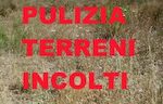 Manutenzione dei terreni incolti posti sul territorio comunale di Pescia.