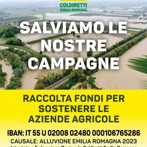 ALLUVIONE IN ROMAGNA. Coldiretti Pistoia aderisce all’iniziativa di solidarietà  “Salviamo le nostre campagne” e invita a donare.