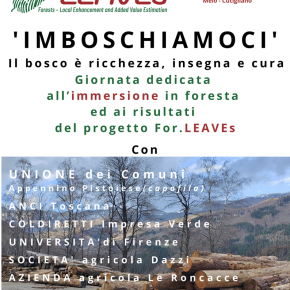 IMBOSCHIAMOCI. Domani evento conclusivo di ForLEAVEs: bagno di foresta a 1300 metri, e poi pranzo e risultati