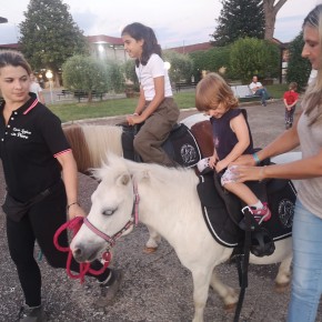 L'IPPODROMO SNAI SESANA DI MONTECATINI TERME RENDE OMAGGIO A FRANCESCO NUTI E PROPONE TANTE NUOVE INIZIATIVE DI INTRATTENIMENTO  PER IL PUBBLICO