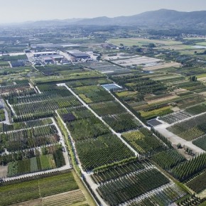 Il presidente dell’Associazione Vivaisti Italiani sul progetto “Green Valley”: «sbagliato non coinvolgerci sin dalla gestazione»