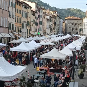 GRANDE SUCCESSO DI PESCIA ANTIQUA: DOMENICA  29 OTTOBRE “ARRIVA BANCARELLE IN PIAZZA”