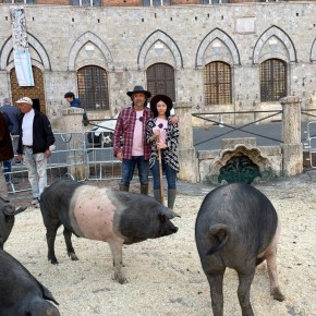 CINTA SENESE. L’imprenditore pistoiese Niccolò Savigni a capo del Consorzio di tutela