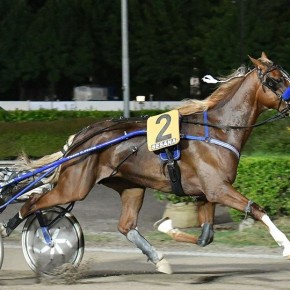 IL MERCOLEDI' DELL'IPPODROMO SESANA, TRA CORSE AL TROTTO,  MISS MONTECATINI E TANTO INTRATTENIMENTO