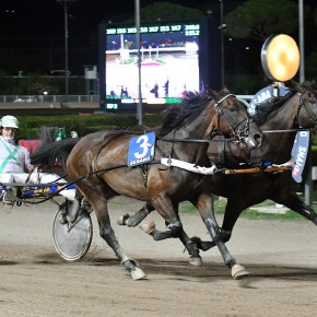 ALL’IPPODROMO SNAI SESANA LA PRIMA DI AGOSTO PER UN SUPER SABATO  CON LE PARIGLIE E IL TROTTO MONTATO. SI ENTRA NEL CLOU DELLA STAGIONE  A MONTECATINI TERME IN ATTESA DI FERRAGOSTO CON IL GP DI GRUPPO I