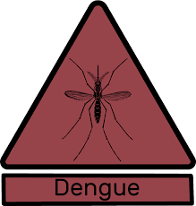 Capecchi (FDI) " Dengue problema sottovalutato dalla Regione Toscana "