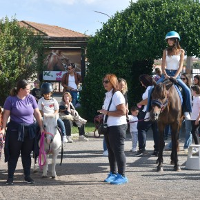 A OTTOBRE,  TRE POMERIGGI DI SABATO CON LA GRANDE IPPICA ALL'IPPODROMO SESANA DI MONTECATINI TERME