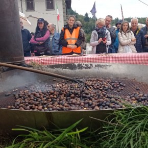 DOMENICA  20 OTTOBRE ,  NUOVO APPUNTAMENTO CON LA TRADIZIONALE  SAGRA DELLE FRUGIATE DI VELLANO: LA FESTA PIU' ATTESA.