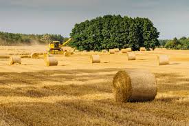 CONTRATTI DI FILIERA PER LE IMPRESE CEREALICOLE. Mercoledì 16 ottobre incontro Coldiretti a MONSUMMANO