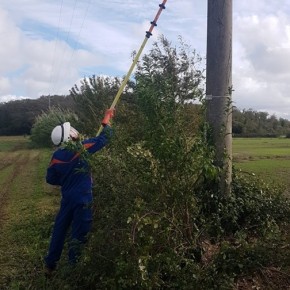 TOSCANA: MALTEMPO, TASK FORCE DI E-DISTRIBUZIONE A LAVORO PER FRONTEGGIARE LE CONSEGUENZE DELLA TEMPESTA DI VENTO