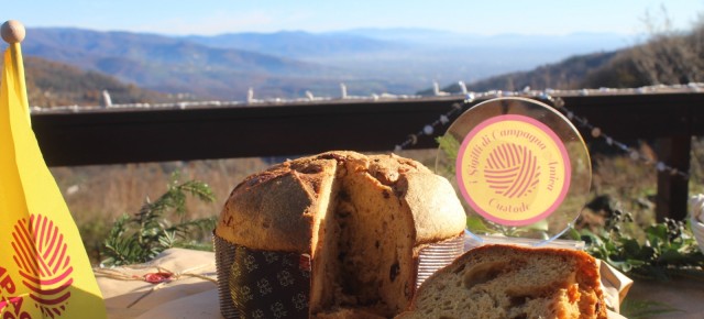 Sabato 21 dicembre A PISTOIA MERCATO NATALIZIO DI CAMPAGNA AMICA  Dal panettone di montagna, al Pecorone ultrastagionato  E poi tutti i prodotti a filiera corta