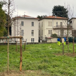 Pistoia. 18 nuovi alberi per l’area verde di via del Pelago con il progetto “Click to be green”